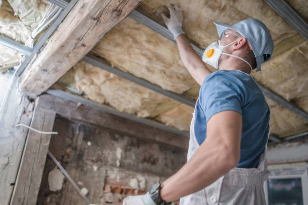 Best Insulation Maintenance and Repair in Wheeling, WV